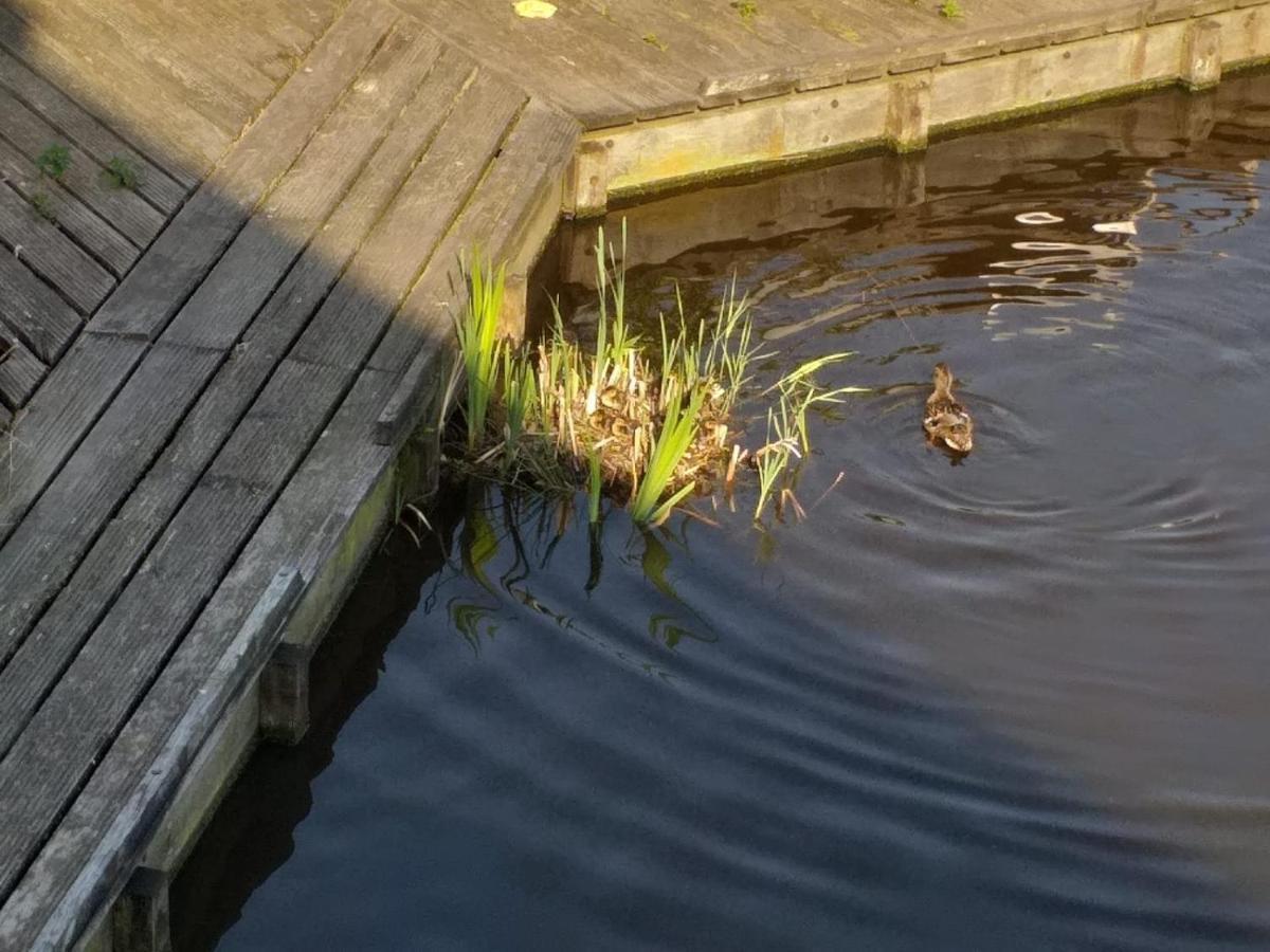 Huisje Aan Het Water, Omgeving Amsterdam Villa Zaandam Exterior foto